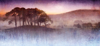 Dibond Print on brushed Aluminium Treescape