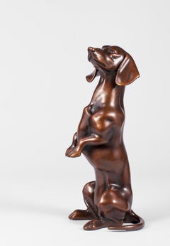"Mr Darcy " Sausage Dog
