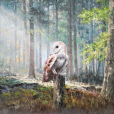 Morning Owl