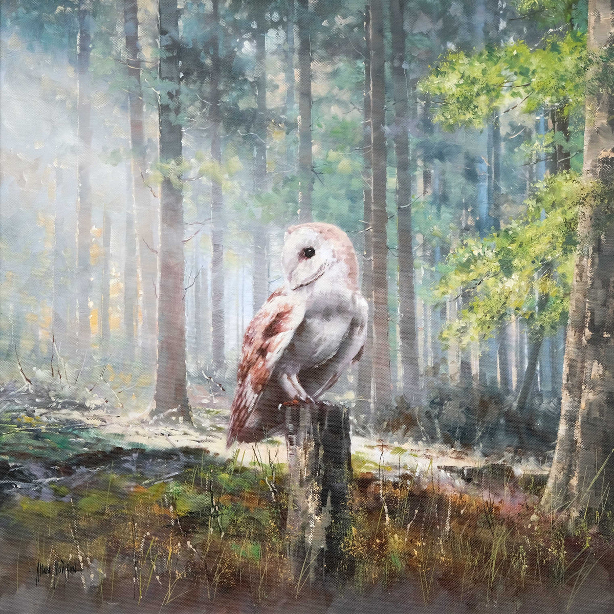 Morning Owl