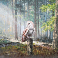 Morning Owl