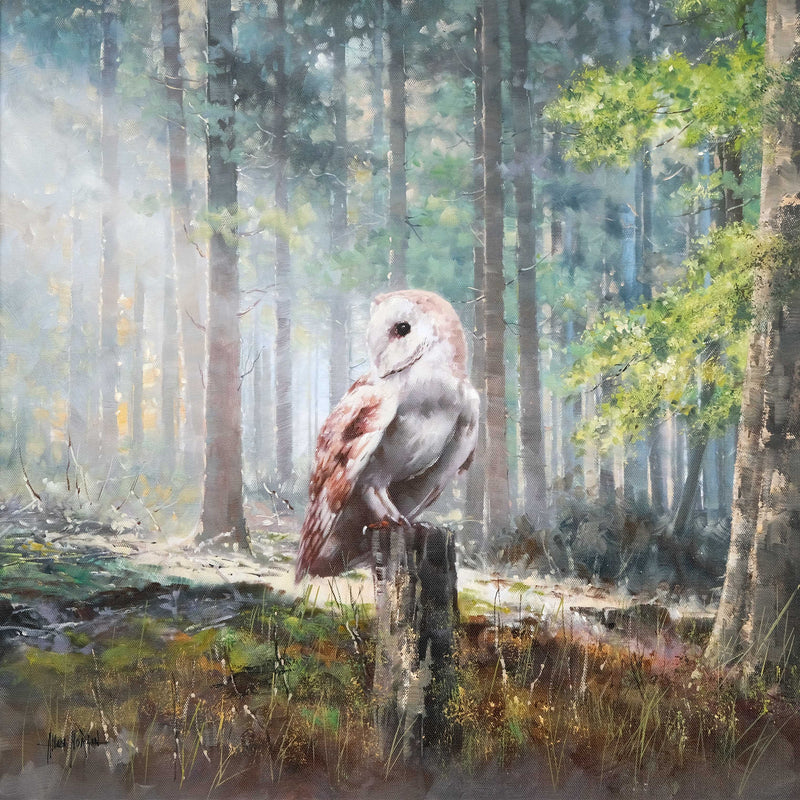 Morning Owl