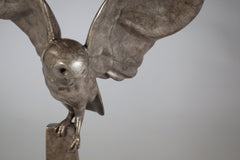 New Moon Owl