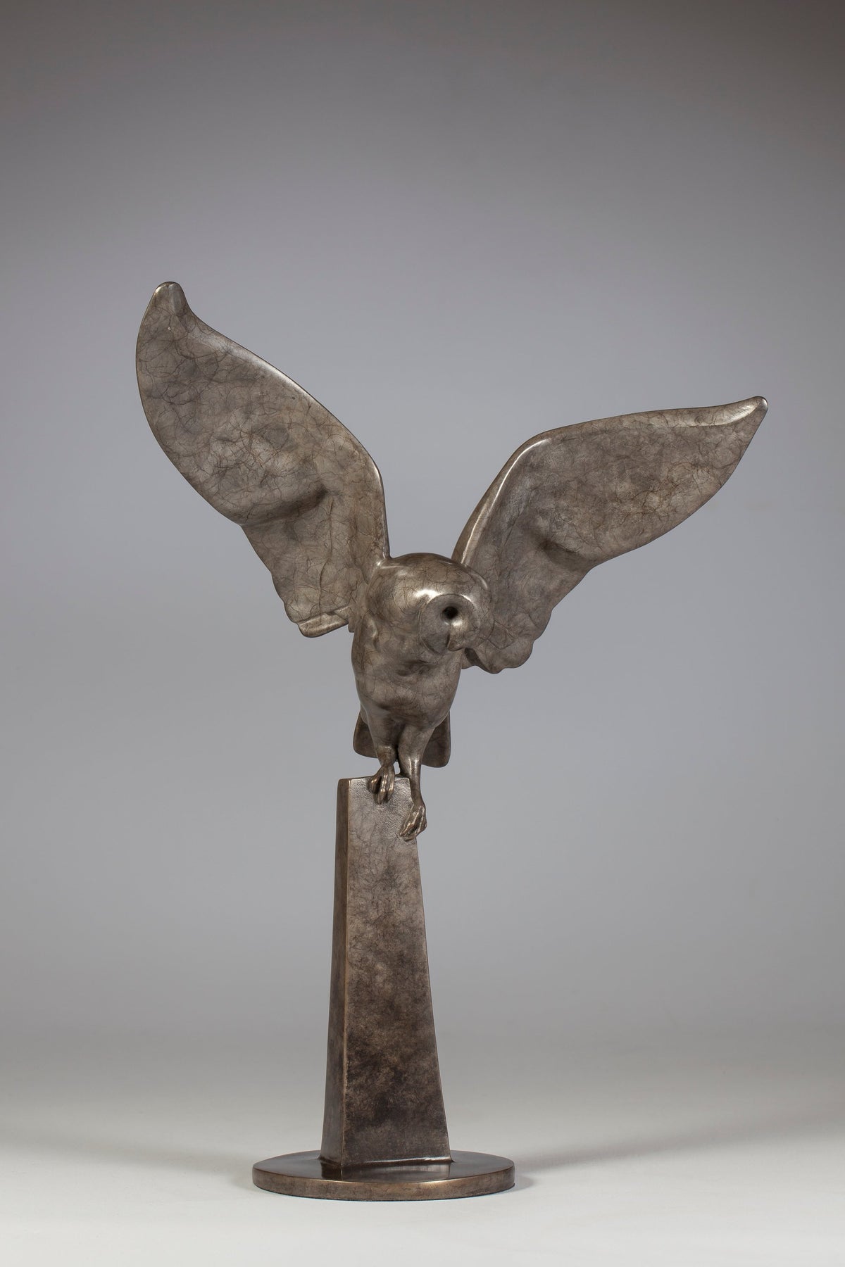 New Moon Owl