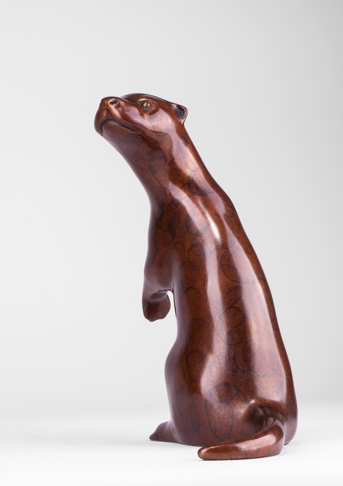 Otter
