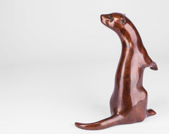 Otter