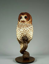 Nocturne - Tawny Owl