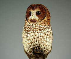Nocturne - Tawny Owl