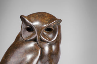 Screech Owl