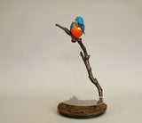 Threshold - Kingfisher