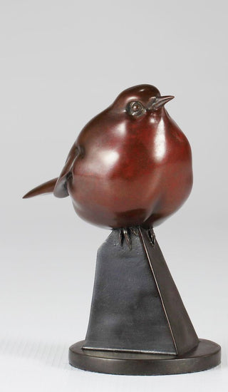 Curious Robin