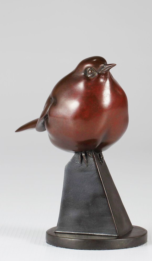 Curious Robin