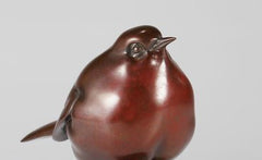 Curious Robin
