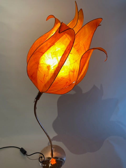 Collections – Artifex