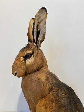 "Hare Sitting" available at Artifex 
